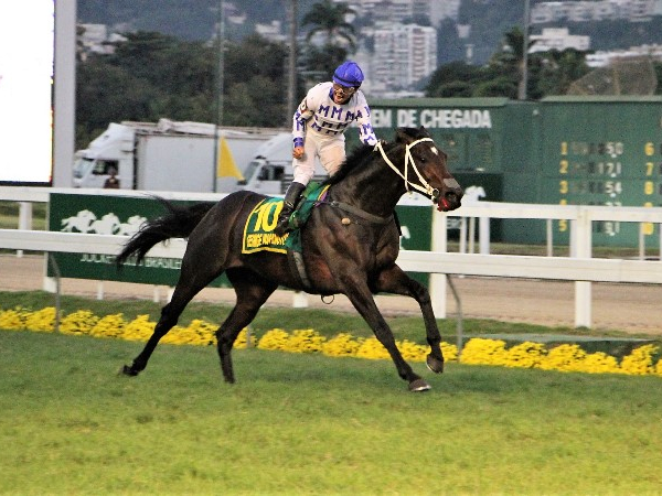 Site Jockey Club Brasileiro por Sylvio Rondinelli
