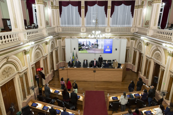Câmara: é consolidar diretrizes para o enfrentamento do racismo e da violência contra a população negra, indígena, cigana e outros grupos étnicos historicamente discriminados.