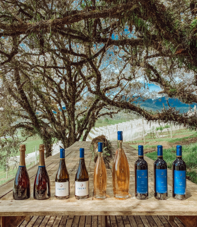 Vinhos da vinícola Thera