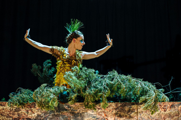 "Poggle", do Barrowland Ballet