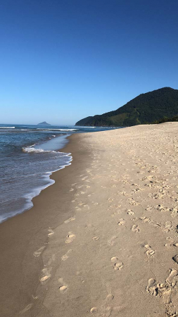 O mais novo hotel de Juquehy inaugura com suítes de até 74m², Spa by L'Occitane, piscina, serviço de praia e todas as comodidades contemporâneas, a poucos passos do mar