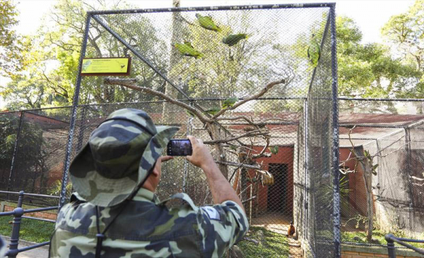 Policiais militares que atuam na For\u00e7a Verde fazem treinamento com profissionais da Prefeitura de Curitiba no Passeio Publico de Curitiba