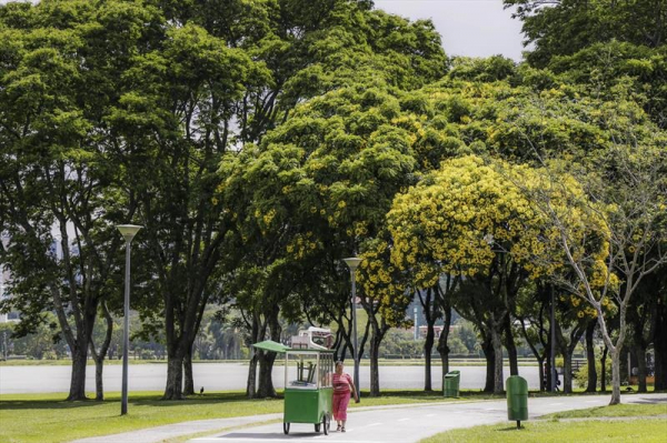 A Prefeitura de Curitiba lan\u00e7ou edital para os primeiros pontos de venda de churros no com\u00e9rcio ambulante da cidade