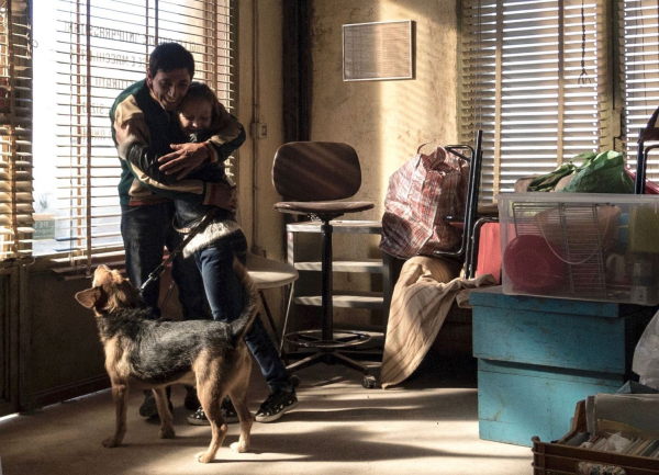 \u00b4Dogman\u00b4 \u00e9 um dos filmes em cartaz no festival, que acontece em 11 cidades