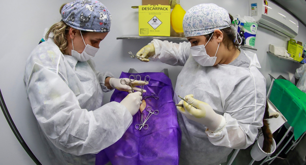 Procedimentos seguem em unidade m\u00f3vel at\u00e9 a sexta-feira