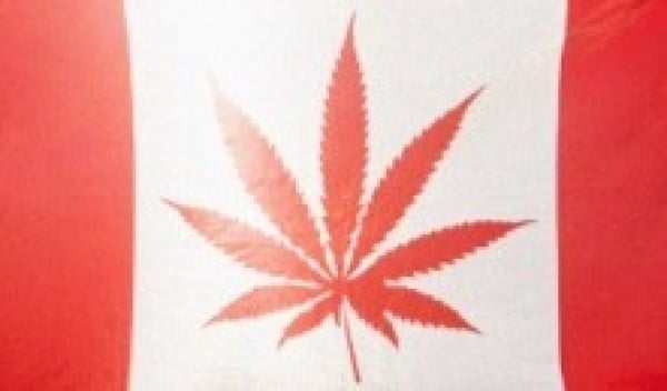 Bandeira usada por ativistas pr\u00f3 libera\u00e7\u00e3o da maconha no Canad\u00e1
