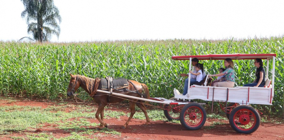 Turismo Rural Conquista Visitantes Em Diversas Regiões Do Estado Bem Paraná 9774