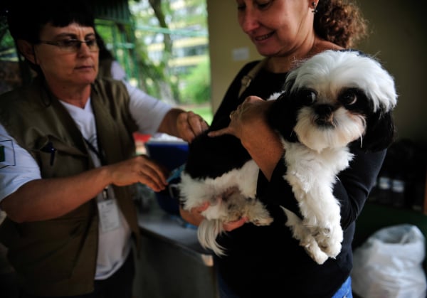Objetivo é dar mais rigor na punição contra crimes de maus-tratos e abandono de animais no estado.