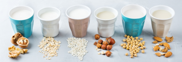 Leite vegetal x leite animal: Conheça os benefícios para a saúde ...