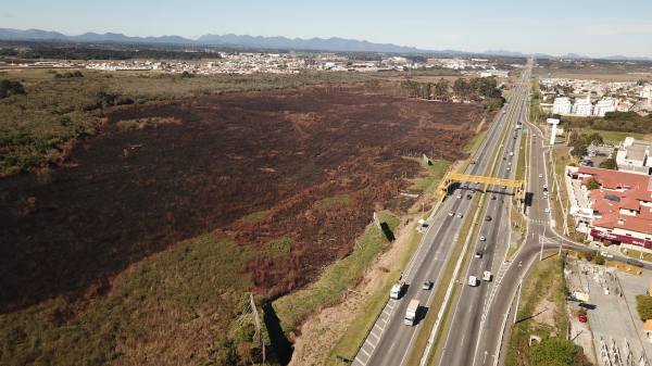A área queimada ao lado de onde ocorreu o acidente na BR-277