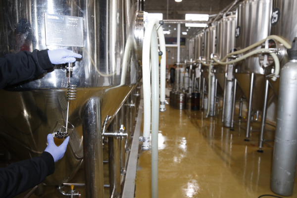 Em quatro anos, mercado cervejeiro mais que dobrou de tamanho