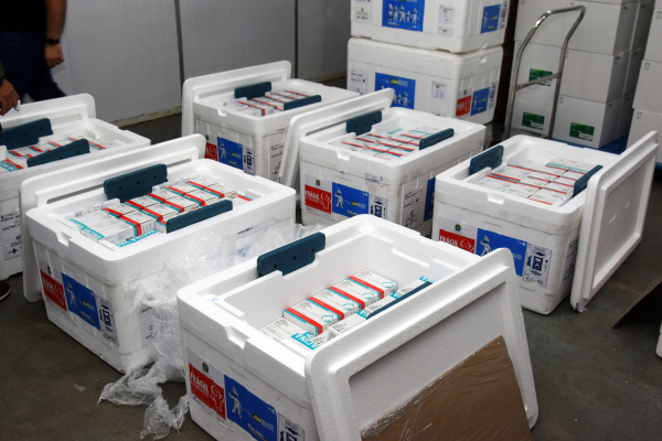 Da remessa recebida hoje, 118.170 imunizantes da Pfizer vão para a aplicação em idosos acima de 70 anos e imunussuprimidos