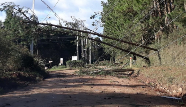 Imagem de estrago no temporal de terça em SJP