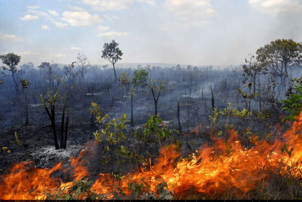 Segundo a matéria, mais de 70 pessoas, entre sindicalistas, produtores rurais, comerciantes e grileiros combinaram, por meio de um grupo de WhatsApp, incendiar as margens da BR-63, no Pará