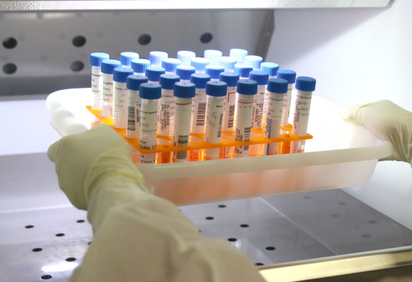 Índices da Covid-19 terminam 80ª semana muito positivos: vacinação é um dos motivos para controle da pandemia