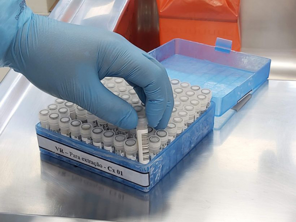 Efeito Ômicron é determinante nas estatísticas