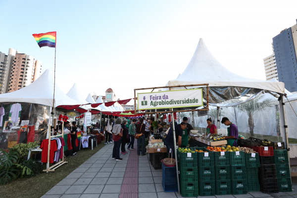 Feira de Agroecologia tem produtos do campo e cultura