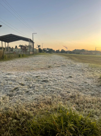 Geada em Carambeí