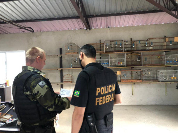 PF cumpriu 14 mandados de prisões preventivas