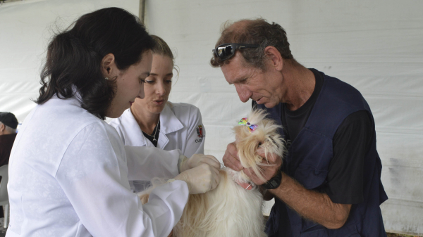Cadastro prévio no site da Rede de Proteção Animal