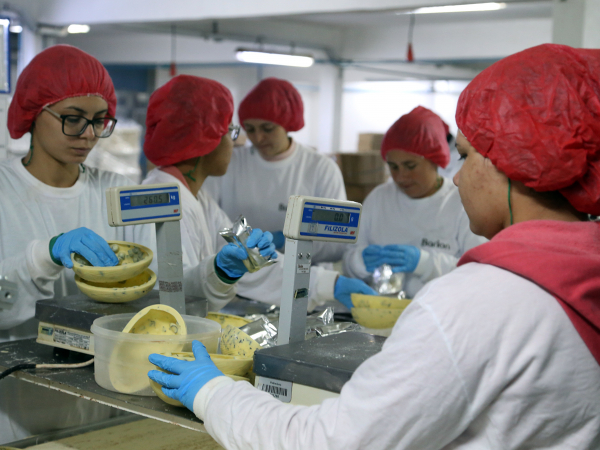 Paraná registrou a abertura de 3.303 empresas em janeiro, um aumento de 14,6% em relação ao mesmo mês do ano passado