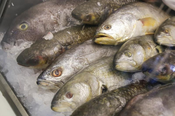 Curitiba terá 18 pontos extras para a venda de pescados nesta semana