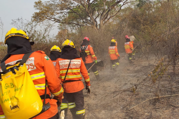 Ao todo, foram enviados 39 integrantes da equipe, sete caminhões-pipa capazes de armazenar seis mil litros de água e sete caminhonetes 4x4 ao Pantanal pelo Estado