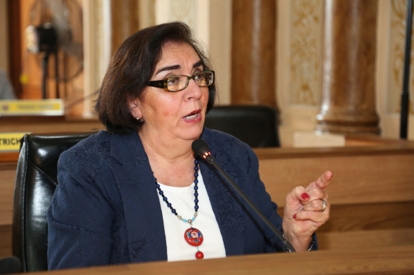 Julieta Reis (DEM): vereadora alega que medida seria uma forma de “coibir o tumulto e a perturbação do sossego”