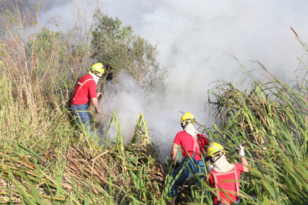 Bombeiros combatem incêndio ambiental na Grande Curitiba