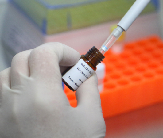Testes de coronavírus no Paraná: doença cresce de forma assustadora