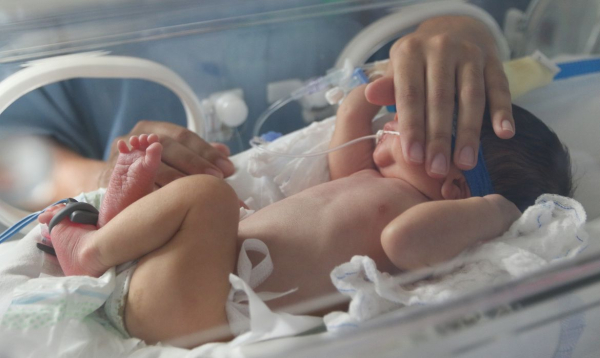 Aliança vai lançar uma carta-compromisso com medidas de redução da mortalidade materna e neonatal