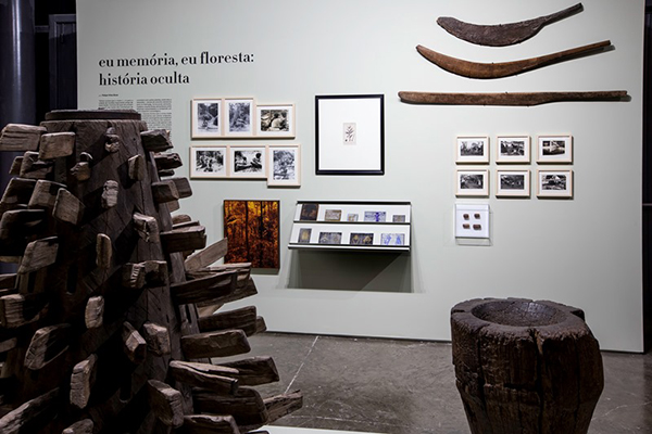 “Eu Memória, Eu Floresta: História Oculta” é umas das novas exposições no Museu Paranaense e apresenta diferentes olhares sobre a erva-mate por meio de obras, objetos e documentos históricos.