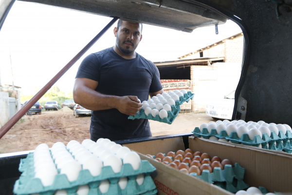 Daniel Barbosa de Souza, do carro do ovo: 30 ovos por R$ 10