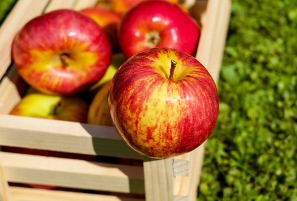 Maçã é a fruta da estação e rende boas receitas.