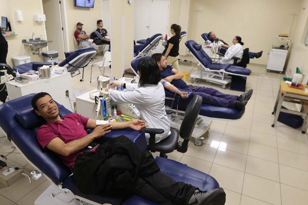 Rede Hemepar recebe cerca de 800 doadores por dia no Estado: campanhas para aumentar