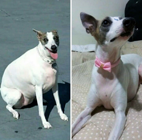Fofinha, vencedora da 1ª edição do Mordida Certa, eliminou cerca de 3,5 kg durante o programa.
