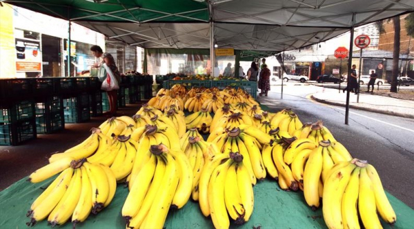 Feira das Cooperativas venderá hortifrutigranjeiros a ...