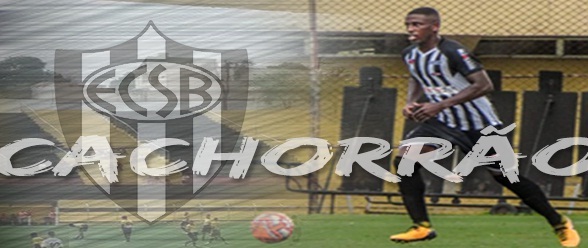 São Bernardo, o 'Cachorrão'