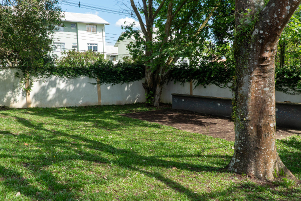 De espaço abandonado a uma sala verde multiuso, onde os alunos podem plantar, interagir com o meio ambiente e ter aulas ao ar livre