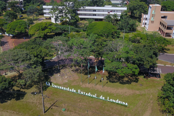 UEL: contrato pode ter prazo máximo de dois anos e há vagas para diversas áreas