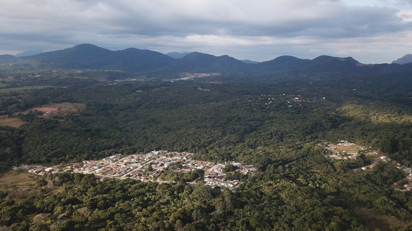 Florestas e campos ainda predominam no Estado