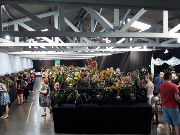 Exposição já virou tradicional em Curitiba