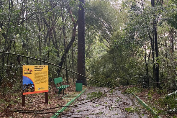 Zoo de Cascavel foi fechado porque várias árvores caíram