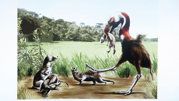 Animais que viveram na CIC