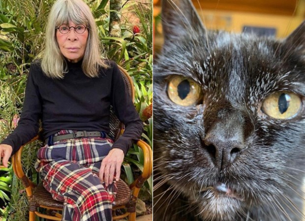 Rita Lee lamenta morte de sua gata: 'minha guardiã por 25 ...