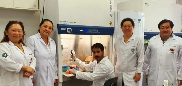 Equipe de pesquisadores da Universidade Estadual de Londrina