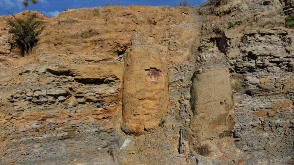 A floresta fossilizada de Ortigueira está "em posição de vida", o que, no mundo botânico, equivale à conservação da cidade de Pompeia, soterrada da maneira que estava após a erupção do Monte Vesúvio, em 79 d.C.