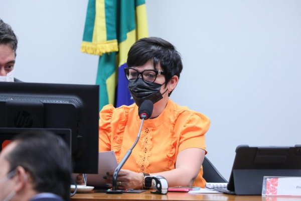 A deputada Alê Silva (PSL-MG), relatora do projeto na CCJ