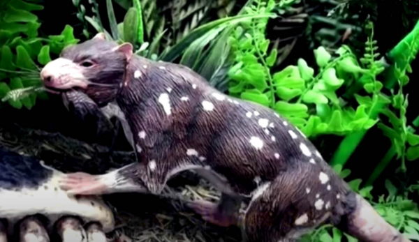 Reprodução do 'Orretherium tzen'