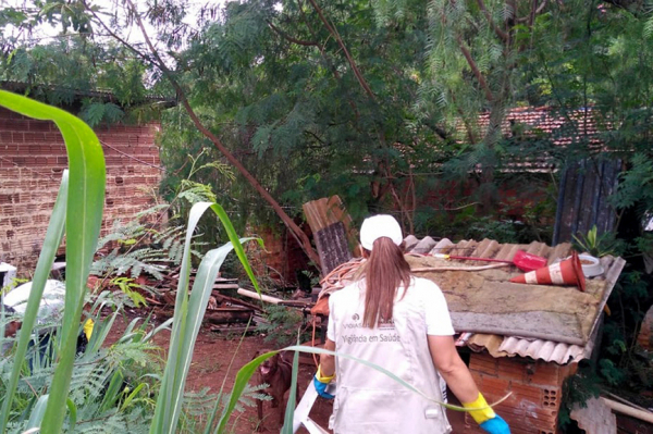 Equipes fazem limpeza em áreas de risco da dengue